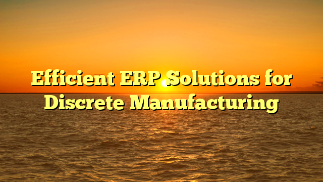 Efficient ERP Solutions for Discrete Manufacturing