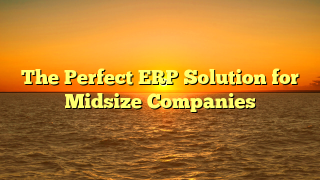 The Perfect ERP Solution for Midsize Companies