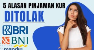 Alasan ditolak saat mengajukan pinjaman online
